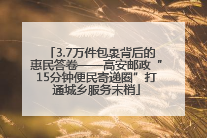 3.7万件包裹背后的惠民答卷——高安邮政“15分钟便民寄递圈”打通城乡服务末梢