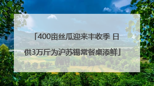 400亩丝瓜迎来丰收季 日供3万斤为沪苏锡常餐桌添鲜