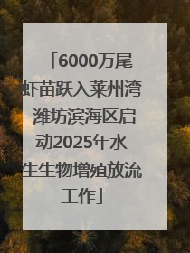 6000万尾虾苗跃入莱州湾 潍坊滨海区启动2025年水生生物增殖放流工作