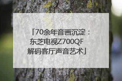 70余年音画沉淀：东芝电视Z700QF解码客厅声音艺术