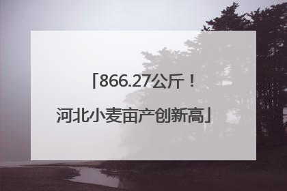 866.27公斤！河北小麦亩产创新高