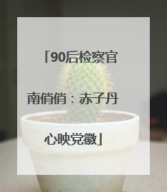 90后检察官南俏俏：赤子丹心映党徽