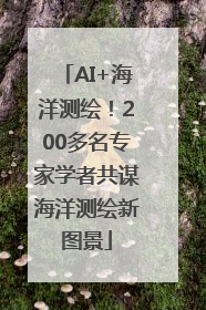 AI+海洋测绘！200多名专家学者共谋海洋测绘新图景