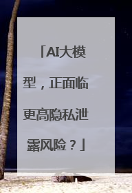 AI大模型，正面临更高隐私泄露风险？