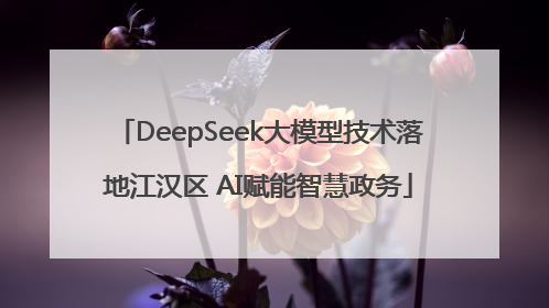 DeepSeek大模型技术落地江汉区 AI赋能智慧政务
